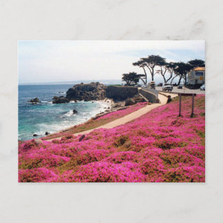 Pacific Grove-Monterey Calif Briefkaart