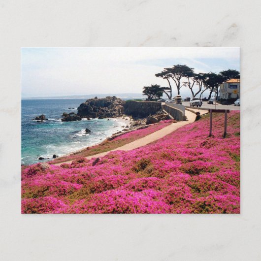 Pacific Grove-Monterey Calif Briefkaart (Voorkant)