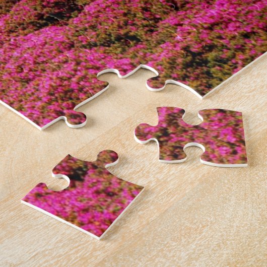 Pacific Grove-Monterey Calif Legpuzzel (Zijkant)