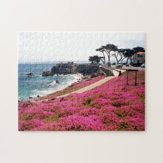 Pacific Grove-Monterey Calif Legpuzzel (Horizontaal)