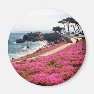 Pacific Grove-Monterey Calif Magneet