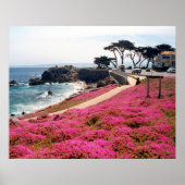 Pacific Grove-Monterey Calif Poster (Voorkant)