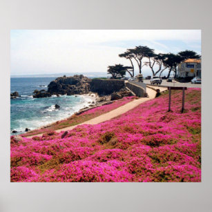 Pacific Grove-Monterey Calif Poster