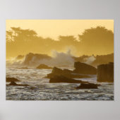 Pacific Grove Morning Poster (Voorkant)