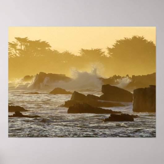 Pacific Grove Morning Poster (Voorkant)