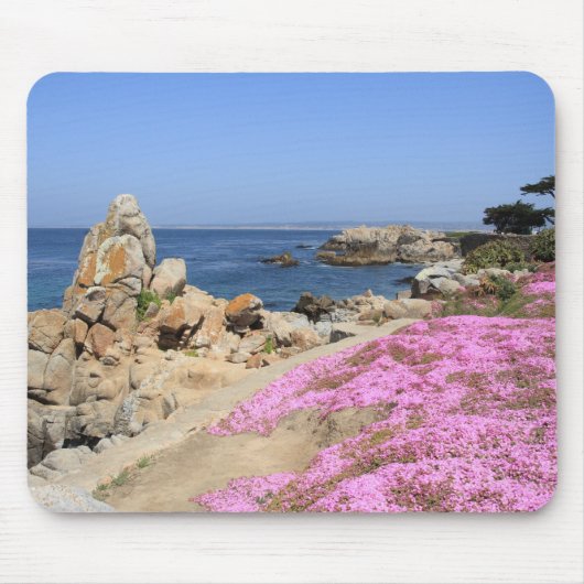 Pacific Grove Muismat (Voorkant)