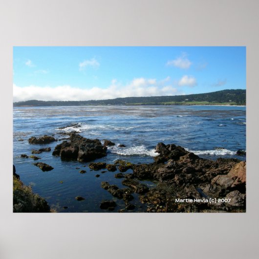 Pacific Grove op de rotsen Poster (Voorkant)