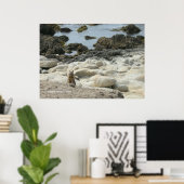 Pacific Grove Squirrel Poster (Thuiskantoor)