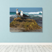 Pacific Gull Vogel Strand Oceaanlandschap Australi Canvas Afdruk (Insitu (Houten vloer))
