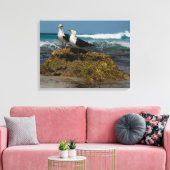 Pacific Gull Vogel Strand Oceaanlandschap Australi Canvas Afdruk (Insitu (Woonkamer))
