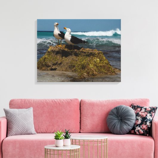 Pacific Gull Vogel Strand Oceaanlandschap Australi Canvas Afdruk (Insitu (Woonkamer))