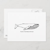 Pacific Humpback Whale Briefkaart (Voorkant / Achterkant)