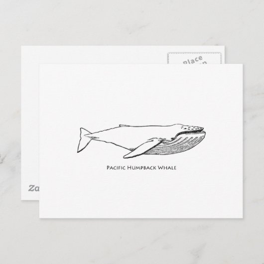 Pacific Humpback Whale Briefkaart (Voorkant / Achterkant)