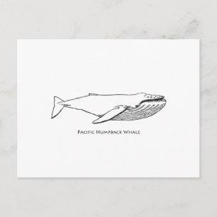 Pacific Humpback Whale Briefkaart