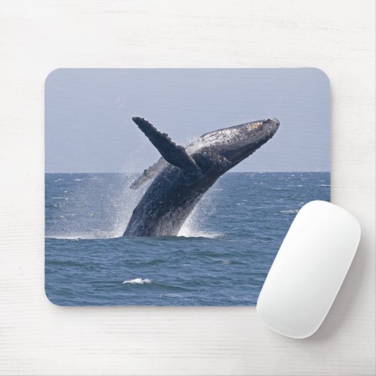 Pacific Humpback Whale... Muismat (Met muis)