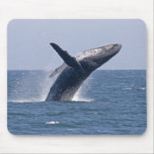 Pacific Humpback Whale... Muismat (Voorkant)