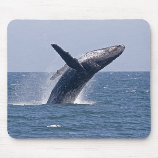 Pacific Humpback Whale... Muismat (Voorkant)