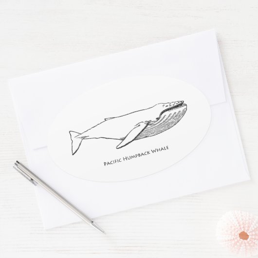 Pacific Humpback Whale Ovale Sticker (Envelop)
