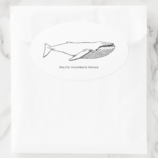 Pacific Humpback Whale Ovale Sticker (Tas)