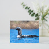 Pacific Loon Briefkaart (Staand voorkant)