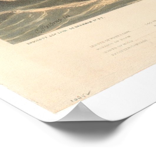 Pacific Mail Steam Ship Co's Golden City (0640A) Poster (Hoek)