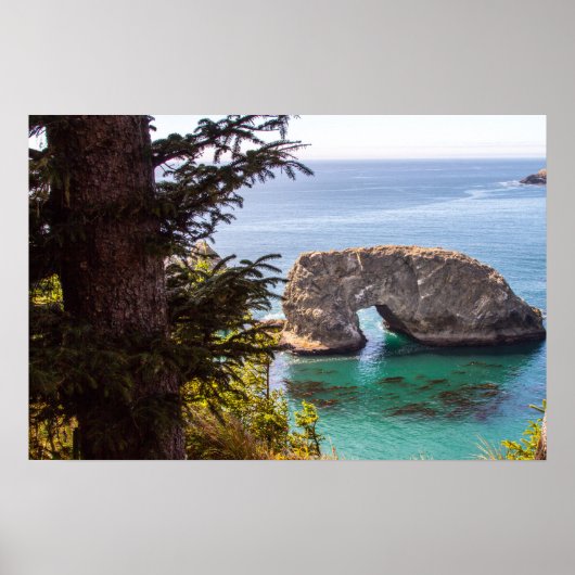 Pacific North West Oceaangezicht Poster (Voorkant)