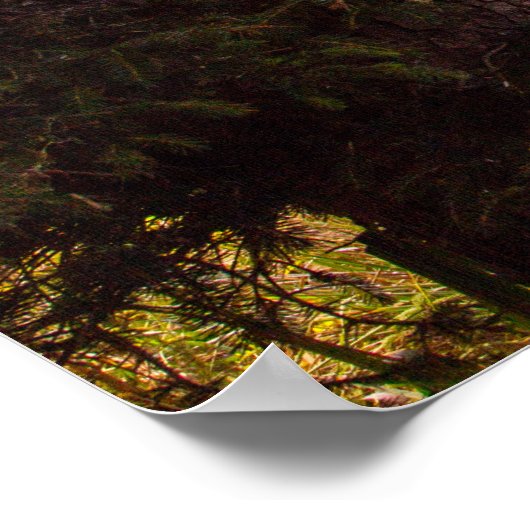 Pacific North West Ocean View Poster (Hoek)