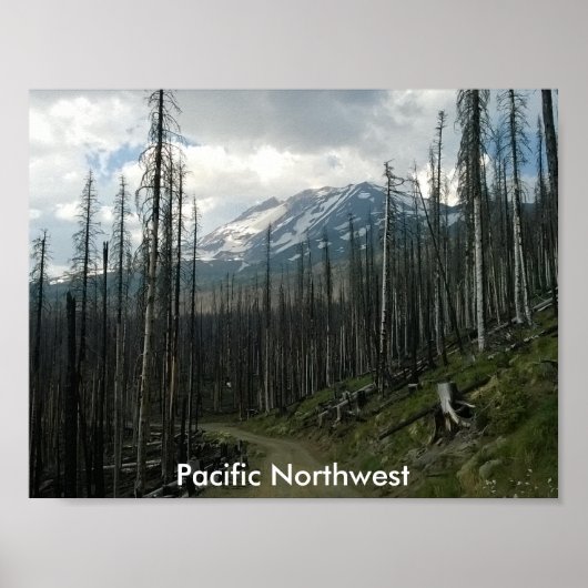 Pacific Northwest Back Road Beauty Poster (Voorkant)