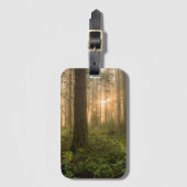 Pacific Northwest Forest | Foggy Morning Bagagelabel (Voorkant (verticaal))