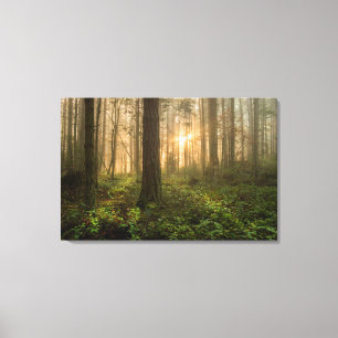 Pacific Northwest Forest Foggy Morning Canvas Afdruk