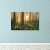 Pacific Northwest Forest | Foggy Morning Canvas Afdruk (Insitu (Houten vloer))