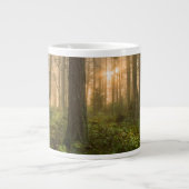 Pacific Northwest Forest | Foggy Morning Grote Koffiekop (Voorkant)