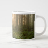 Pacific Northwest Forest | Foggy Morning Grote Koffiekop (Rechts)