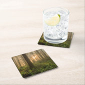 Pacific Northwest Forest | Foggy Morning Kartonnen Onderzetters (Insitu)