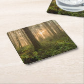 Pacific Northwest Forest | Foggy Morning Kartonnen Onderzetters (Schuin)