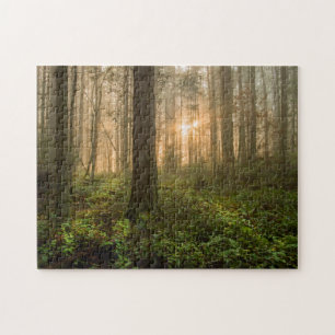 Pacific Northwest Forest   Foggy Morning Legpuzzel
