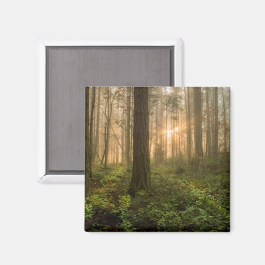 Pacific Northwest Forest | Foggy Morning Magneet (Voorkant / Achterkant)