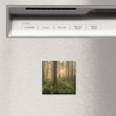 Pacific Northwest Forest | Foggy Morning Magneet (Insitu (Vaatwasser))