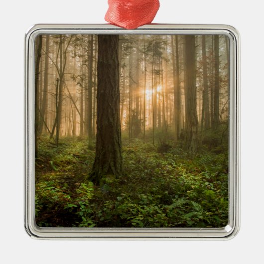 Pacific Northwest Forest | Foggy Morning Metalen Ornament (Voorkant)