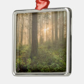 Pacific Northwest Forest | Foggy Morning Metalen Ornament (Links)