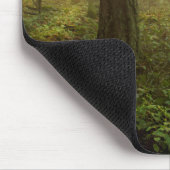 Pacific Northwest Forest | Foggy Morning Muismat (Hoek)