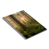 Pacific Northwest Forest | Foggy Morning Notitieboek (Rechterzijde)