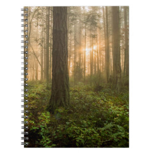 Pacific Northwest Forest Foggy Morning Notitieboek