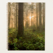 Pacific Northwest Forest | Foggy Morning Planner (Voorkant)
