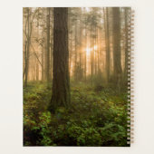 Pacific Northwest Forest | Foggy Morning Planner (Achterkant)