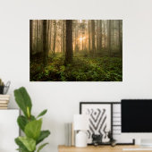 Pacific Northwest Forest | Foggy Morning Poster (Thuiskantoor)