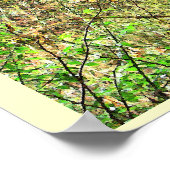 Pacific Northwest Forest Isaiah 41:10 Print (Hoek)