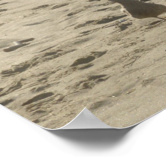 Pacific Northwest/Oregon Coast Poster (Hoek)