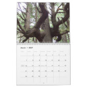 Pacific Northwest Photography Calendar Kalender (Mar 2027)