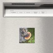 Pacific Northwest Polypore Herfst Paddestoel Magneet (Insitu (Vaatwasser))